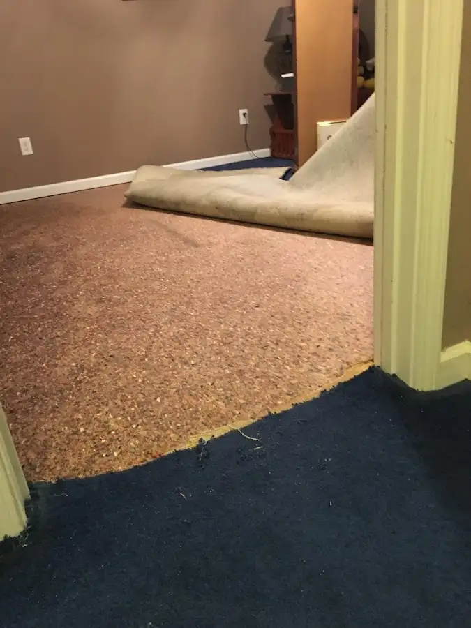 Carpet pad removal revealing water damage during Water Mitigation Services in Dillon