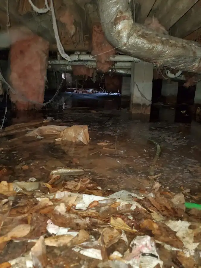 Crawl space flood assessment for Commercial Water Damage Restoration in Dillon