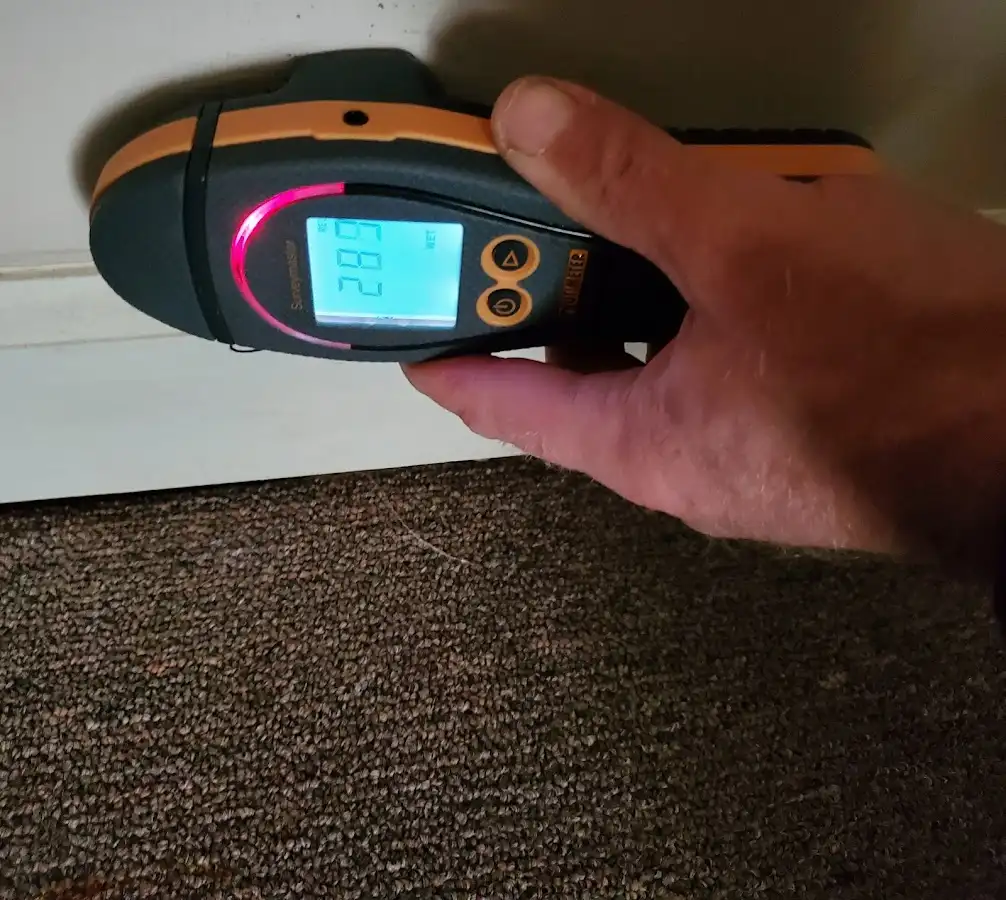 Moisture detection at baseboard during Mold Inspection & Testing in Dillon